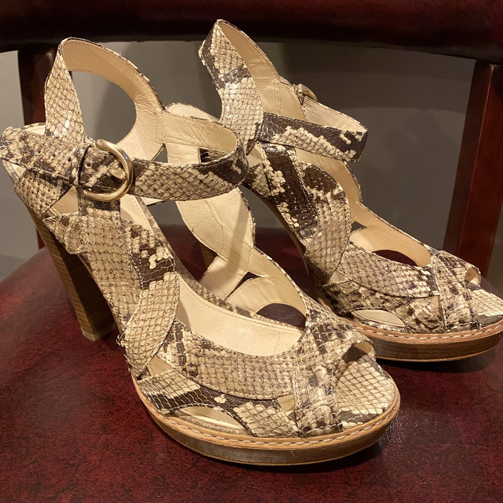 Coach Python Heels